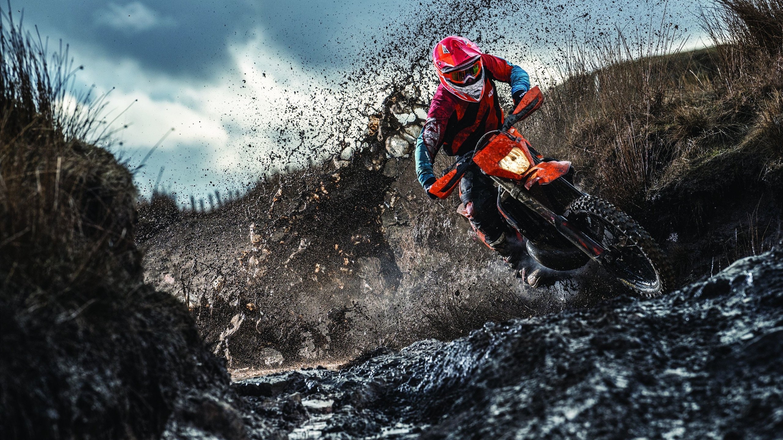 红牛二队横扫迈凯伦,佩雷兹状态火热改写F1格局